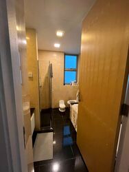 Cairnhill Crest (D9), Condominium #581870831